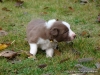comp_dsc01827