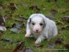 comp_dsc01829