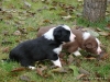 comp_dsc01833