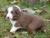 comp_dsc01839