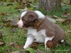 comp_dsc01840