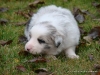 comp_dsc01848