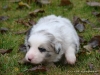 comp_dsc01849