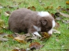 comp_dsc01856