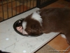 comp_dsc01874
