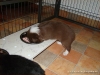 comp_dsc01875