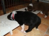 comp_dsc01876