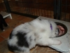comp_dsc01879