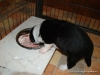 comp_dsc01881