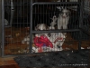 comp_dsc02958