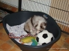 comp_dsc02962