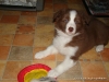 comp_dsc02964