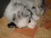 comp_dsc02967