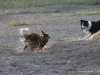 cimg_3919