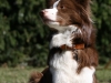 cimg_2574