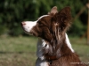 cimg_2589