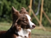 cimg_2590