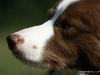 cimg_2594