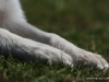 cimg_2601