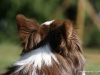 cimg_2603
