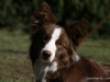 cimg_2609