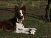 cimg_2628
