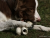 cimg_2638