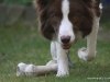cimg_2656