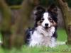 cIMG_3839