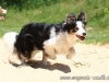 cIMG_5522