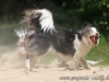 cIMG_5784