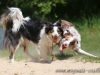 cIMG_5786