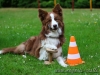 cIMG_5929