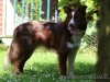 cIMG_6338
