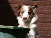 cIMG_6345
