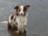 cIMG_6740