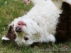 cIMG_7148