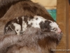 cimg_3632