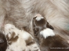 cimg_3673