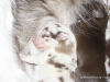 cimg_3675