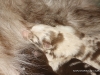 cimg_3676