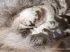 cimg_3678
