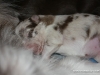 cimg_3679