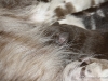 cimg_3681