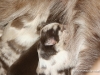cimg_3693