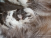cimg_3705