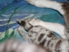 cimg_3706