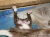 cimg_3707
