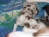 cimg_3723