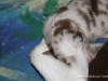 cimg_3725